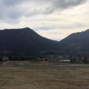 늘봄목장 이미지