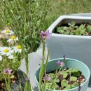 순창팬션 이미지