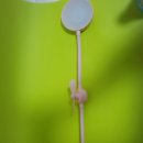 (주)러브커머스 이미지