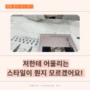 제안피플 - 영등포구 양평로 24 | [사당체형분석] 피플비츠 후기 어울리는 스타일을 찾아주세요!