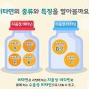 수용성 지용성 뜻 비타민 차이점 종류 역할 이미지