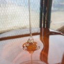 형우농장 이미지