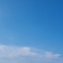 여울애견펜션 이미지