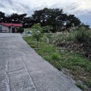 마망펜션 | 정동진펜션 강릉여행, 마망펜션 방문후기