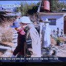 함평해수찜 이미지