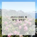 이제한의원 이미지