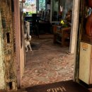 지현동주민센터 | 충주 지현동 카페 <재즈와 산조> 분위기 맛집 무조건 가야하는 곳