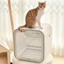 드라이37 이미지