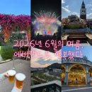 랜드 눈치게임 대성공🔥 필독 / 뚜벅이•평일 방문 후기/ 장미축제(~6/21)·사파리월드·불꽃쇼 명당 공개