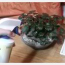 창일약국 | (주)창일 : 기모고무장갑, 푸름이구입