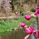 청산 단풍나무길 이미지