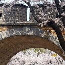 전씨금방