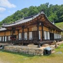 일직점곡로(일직면) 티스토리