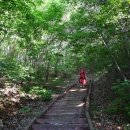 붕어섬2(방문자센터) 이미지