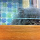 노룬산동물병원 이미지