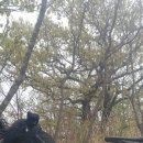 정자무도장 이미지