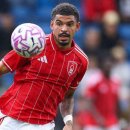 화이트특급 이미지