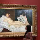 인간의 대지-나리꽃 | 파리 여행_6(오르세 미술관, 입장 및 예약 방법, 관람 꿀 팁, 루브르/오르세/오랑주리 차이점)