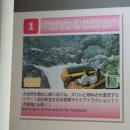 조이폴리스게임센터 이미지