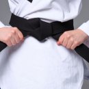 선무태권도 이미지