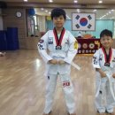 용인대 현대태권도장 이미지