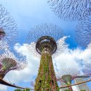 매일슈퍼 | 싱가포르 가든스바이더베이 티켓 예약 가는법 슈퍼트리 전망대 스카이웨이