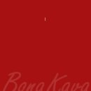 보나카바 이미지