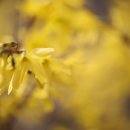 경기도 수원시 권선구 권중로 171 이미지