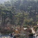 씨유(CU) 서면직통로 | 레스트리 리솜 G40 타워 클린 | 부모님, 아기와 함께 가족여행 숙소 추천