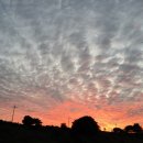 농부의 자연식 이미지