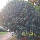 태평로537번길 이미지