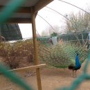 동국농장 이미지