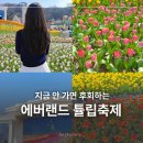 에스케이텔레콤(주) | 2026 에버랜드 튤립축제 기간 위치 입장료 할인 주말 후기