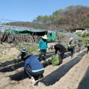 안동시청 이미지