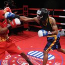 홍복싱(MMA)주짓수 이미지