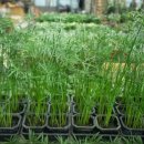 사니정원 이미지