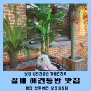 대천 유아키즈 태권 | 보령 가볼만한곳 실내 애견동반 데이트 대천브루어리