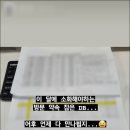 골든트리라이프