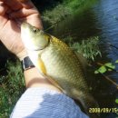 덕송2로 이미지