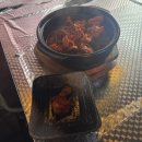 펫미인 | 수상할정도로 알차게 보낸 일주일