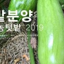 더폭스디자인 이미지