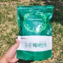 깊은 향이 전해지는 곰곰 페퍼민트 삼각티백 허브차 후기