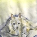 어화둥둥 내강아지 이미지