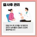 더모헤어플란트 미지예피부과