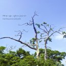 혁이네 민박 이미지