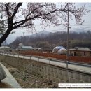 살구꽃핀마을은 이미지