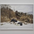 2020-주137 | 갤러리 바톤 : 정희승 개인전 &lt;윌더(Wilder)&gt;