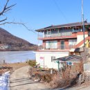 쑥부쟁이(용산저수지)둘레길 | 충북 음성 걷기좋은 용산저수지 쑥부쟁이 둘레길