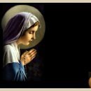 마리아A+ 이미지