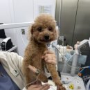 우당탕 랜드 이미지